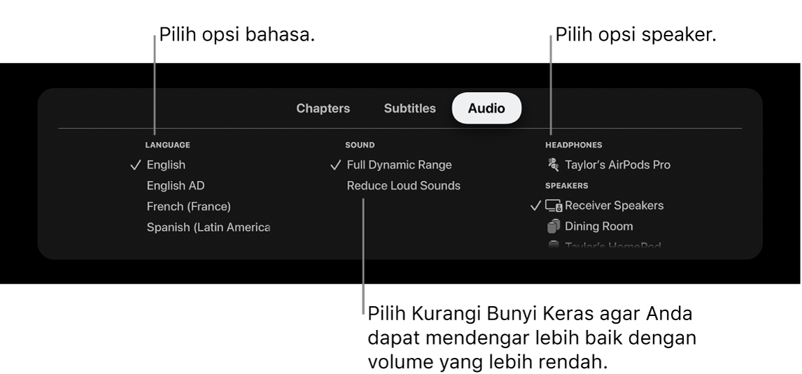 Layar pemutaran menampilkan menu tarik-turun Audio dan Kurangi Bunyi Keras yang dipilih