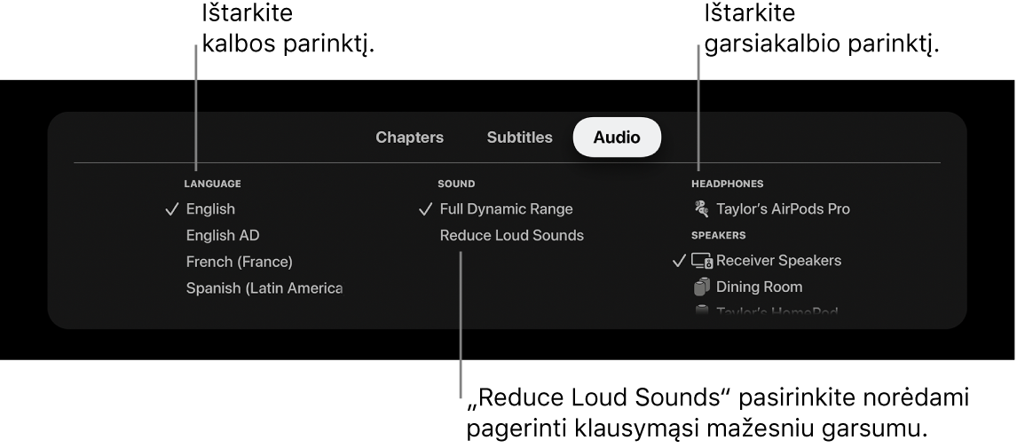 Atkūrimo ekranas, kuriame rodomi nutempiamas langas „Audio“ ir pasirinkta parinktis „Reduce Loud Sounds“