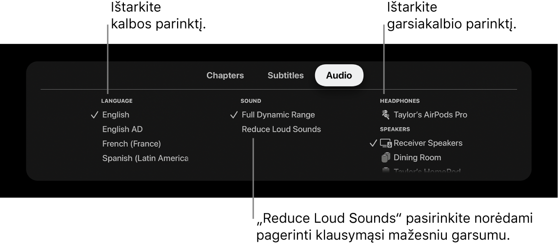 Atkuriant rodomas meniu „Audio“