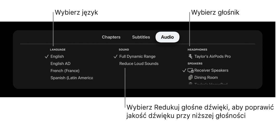 Ekran odtwarzania z menu Audio oraz wybraną pozycję Wygłuszaj głośne dźwięki