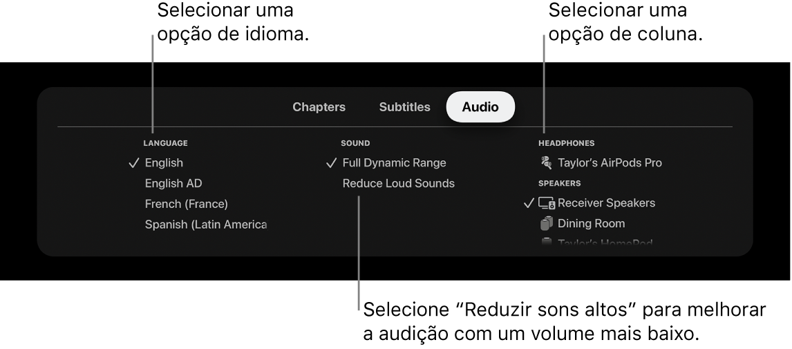 Menu Áudio durante a reprodução