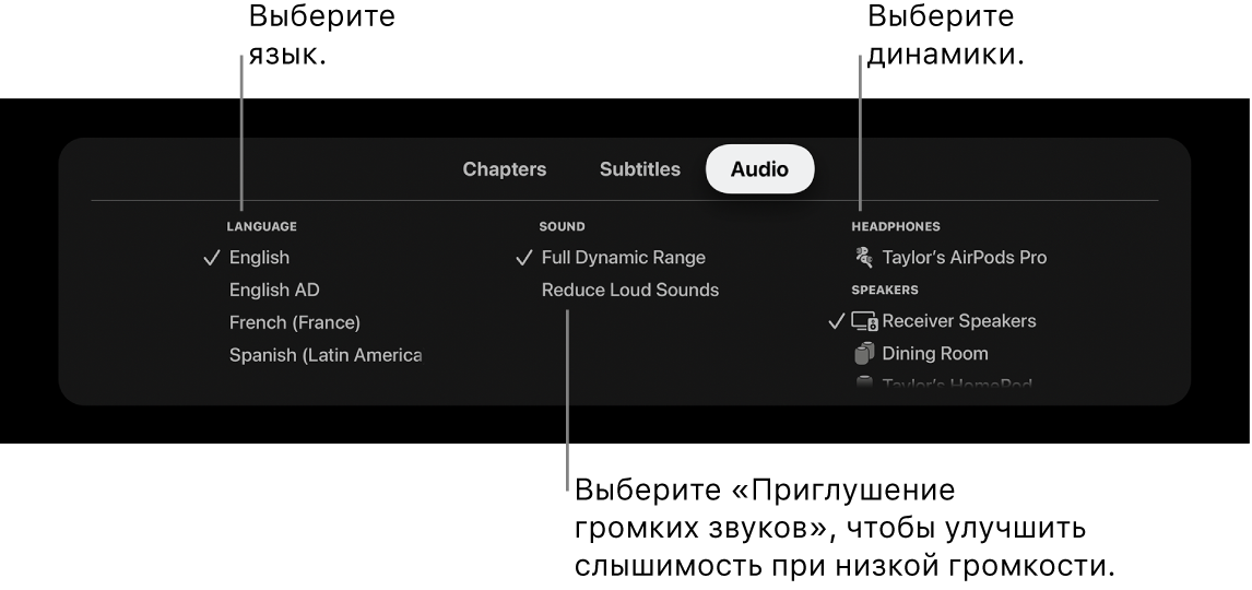 Экран воспроизведения с раскрытым меню «Аудио» и выбранным параметром «Приглушение громких звуков».