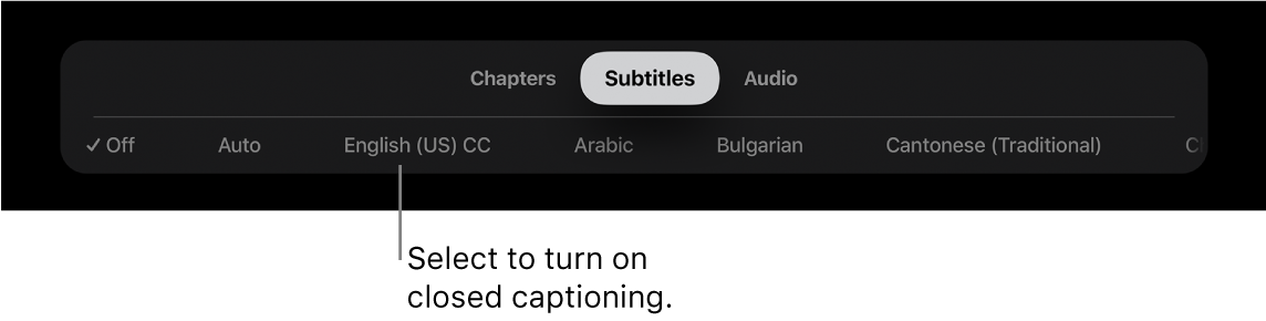 Subtitles menu during playback