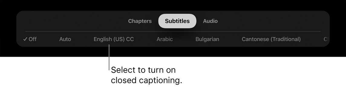Subtitles menu during playback
