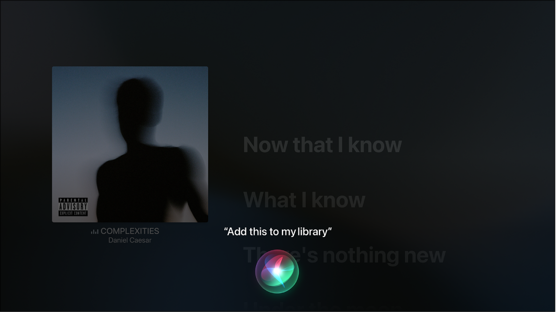 Control Music With Siri On Apple Tv Apple 支持