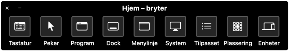 Hjem-panelet for Bryterkontroll inneholder knapper for å styre, fra venstre til høyre, tastatur, markør, programmer, Dock, menylinje, systemkontroller, tilpassede paneler, skjermplassering og andre enheter.