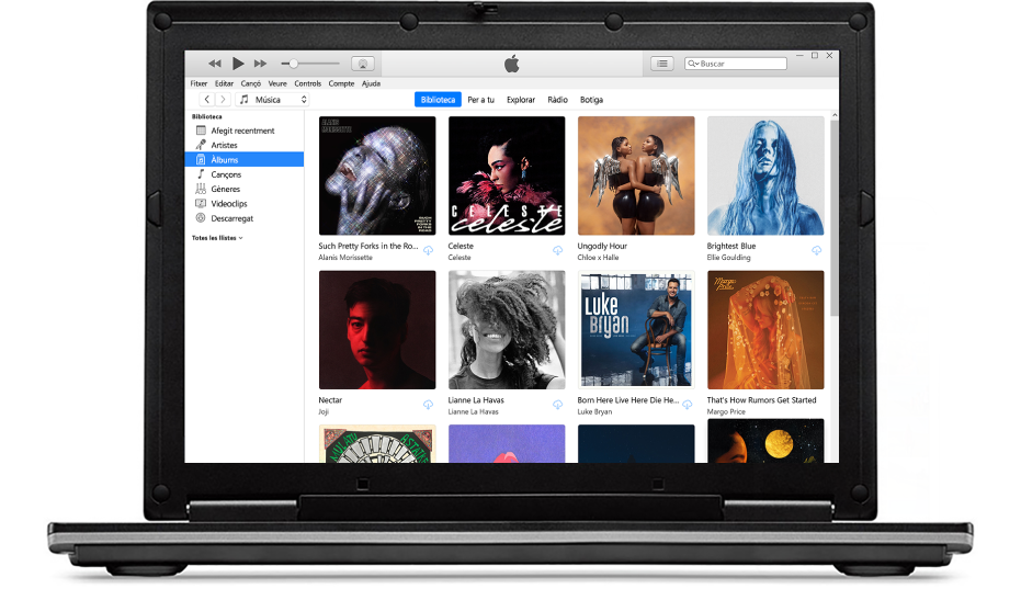 La finestra de l’iTunes amb una biblioteca de diversos àlbums.