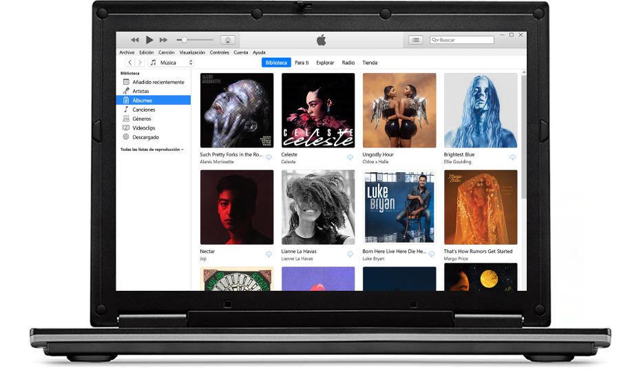 Ventana de iTunes con una biblioteca de varios álbumes.