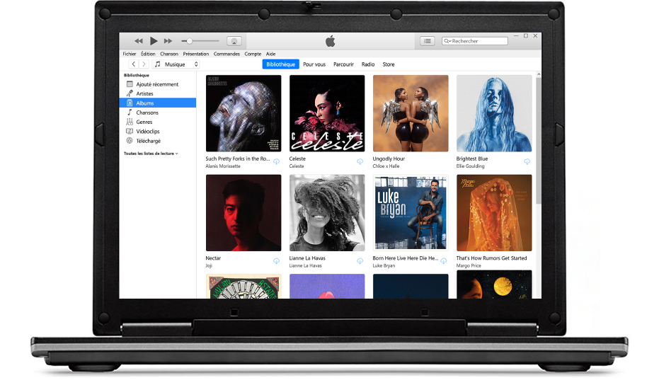 La fenêtre iTunes avec une bibliothèque de plusieurs albums.