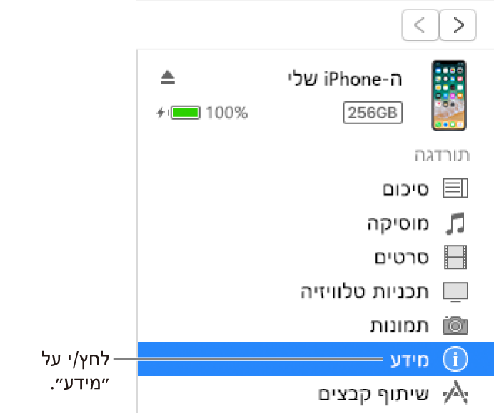 החלון ״מכשיר״ עם האפשרות ״פרטים״ נבחרת בסרגל הצד משמאל.