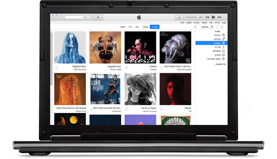 חלון iTunes עם ספריה המכילה מספר אלבומים.