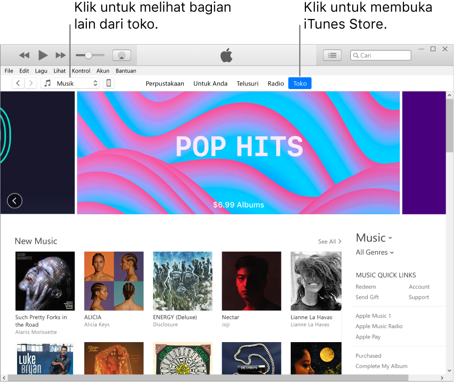 Jendela utama iTunes Store: Di bar navigasi, Toko disorot. Di pojok kiri atas, pilih untuk melihat konten yang berbeda di Toko (seperti Musik atau TV).