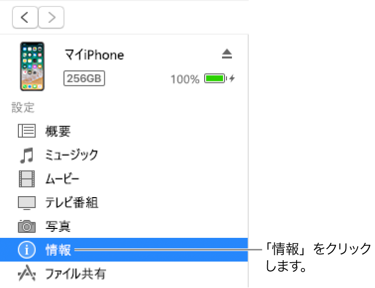 デバイスのウインドウ。左側のサイドバーで「情報」が選択されています。