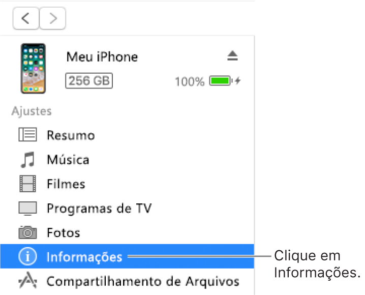 Janela Dispositivo, com Informações selecionado na barra lateral à esquerda.