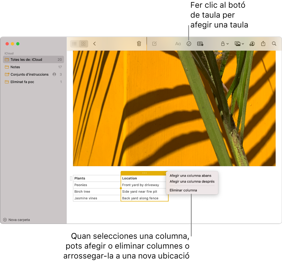 La finestra de l‘app Notes, amb el botó Taula: fes-hi clic per afegir una taula. Dins del contingut de la nota, se selecciona una columna de taula perquè hi puguis afegir o eliminar columnes o arrossegar-la a una altra ubicació.