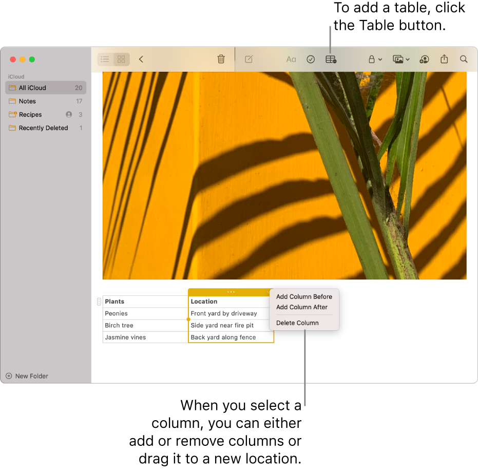 The Notes window showing the Table button — click it to add a table. Within the note content, a table column is selected so you can either add or remove columns or drag it to a new location.