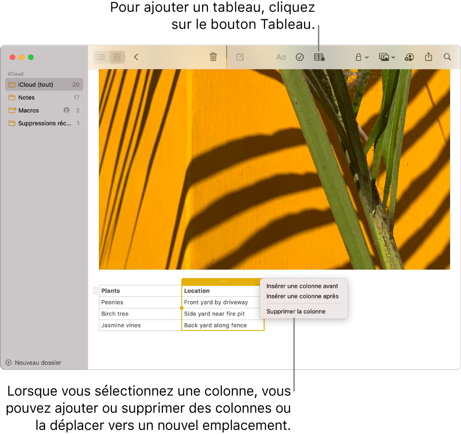 La fenêtre Notes affichant le bouton Tableau. Cliquez dessus pour ajouter un tableau. Dans une note, une colonne de tableau est sélectionnée ; vous pouvez ajouter ou supprimer des colonnes, ou faire glisser la colonne une vers un nouvel emplacement.