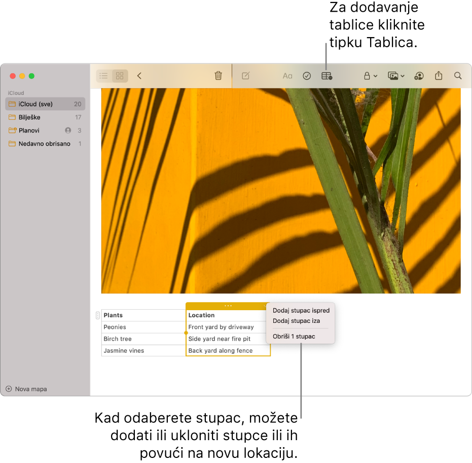 Prozor aplikacije Bilješke s prikazom tipke Tablica; kliknite za dodavanje tablice. U sadržaju bilješke odabran je stupac tablice tako da stupce možete ili dodavati ili ukloniti ili ih povlačiti na novu lokaciju.