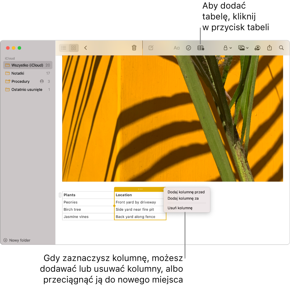 Okno Notatek z przyciskiem tabeli. Kliknij w niego, aby dodać tabelę. W notatce zaznaczona jest kolumna tabeli, możesz więc dodawać lub usuwać kolumny, a także przeciągnąć ją w inne miejsce.