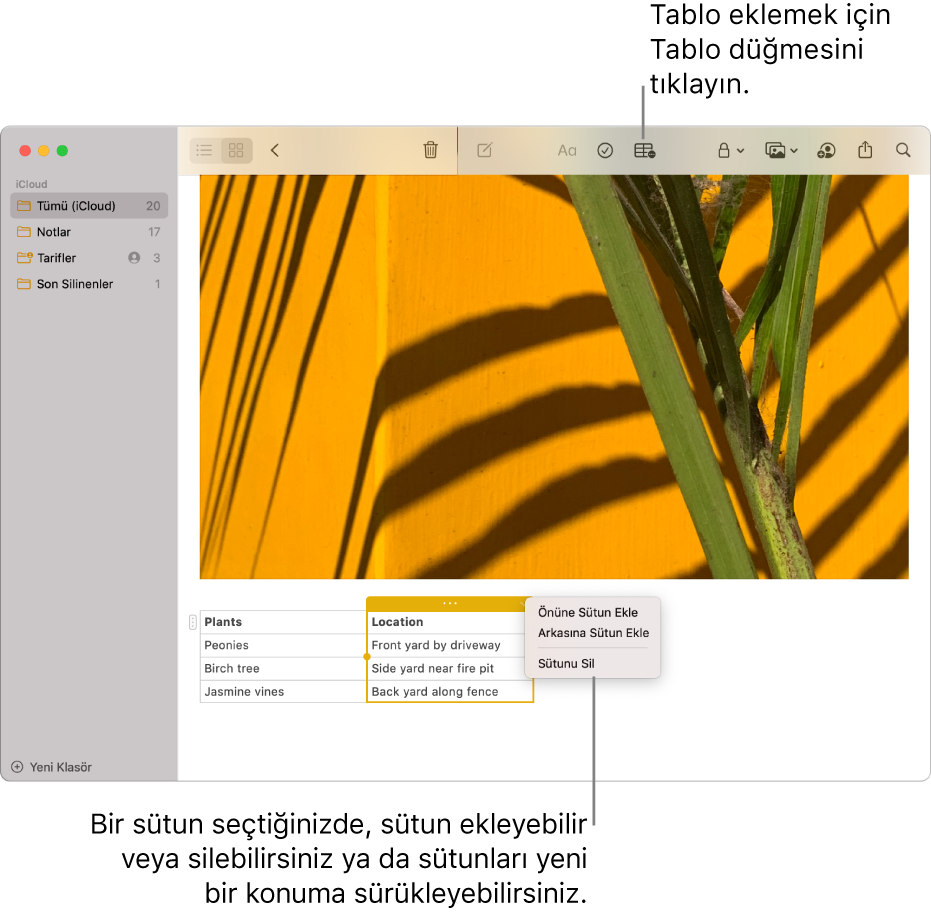 Tablo düğmesini gösteren Notlar penceresi; tablo eklemek için tıklayın. Not içeriğinde, sütunları ekleyebilmeniz veya silebilmeniz ya da yeni bir konuma sürükleyebilmeniz için bir tablo sütunu seçilir.