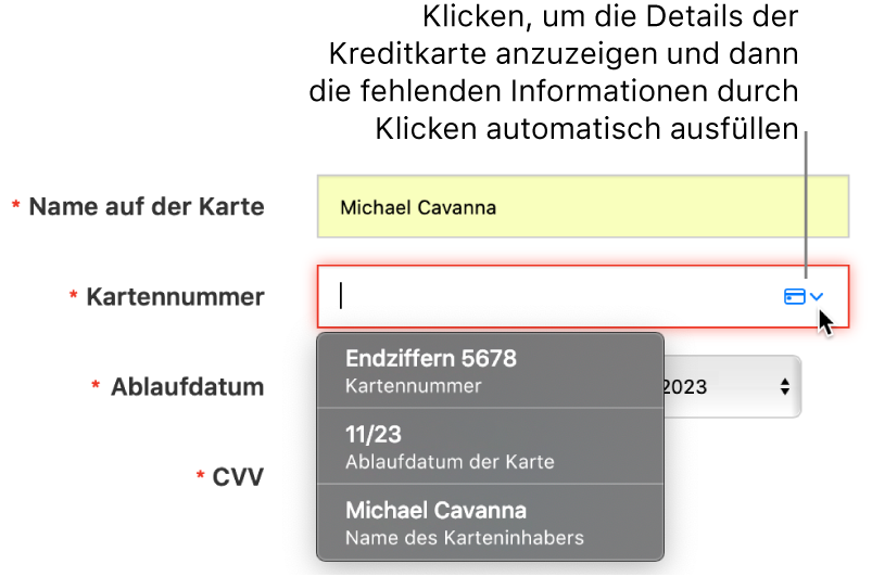 Kreditkarteninformationen mit fehlendem Detail und den verfügbaren Optionen der Einstellung „Automatisch ausfüllen“.