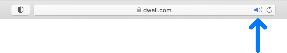 The Smart Search field with the Audio button on the right side.