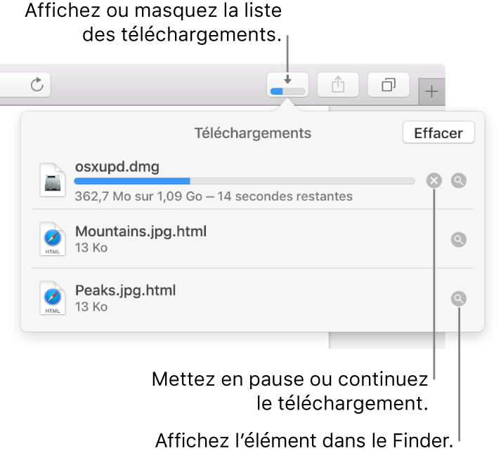 Le bouton Téléchargements de la barre d’outils, avec la liste de téléchargements sous celui-ci.
