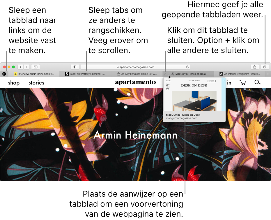Het Safari-venster waarin verschillende tabbladen geopend zijn. De aanwijzer staat op een tab en er wordt een voorvertoning weergegeven van de webpagina op dat tabblad.