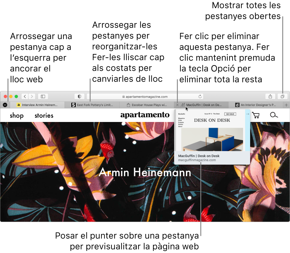 La finestra del Safari amb diverses pestanyes obertes i el cursor a sobre d’una pestanya, amb la previsualització de la pàgina web.