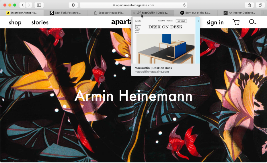 Das Safari-Fenster mit mehreren geöffneten Tabs; der Zeiger befindet sich über einem Tab und es wird eine Vorschau einer Webseite angezeigt.