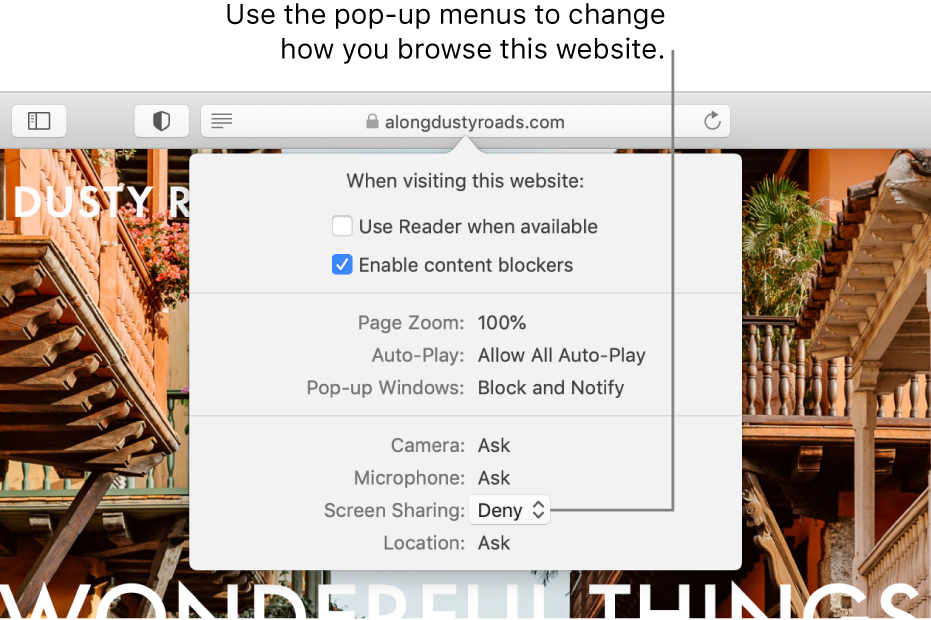 The dialog that appears below the Smart Search field when you choose Safari > Settings for This Website. The dialog contains choices for customizing how you browse the current website, including using Reader view, enabling content blockers, and more.