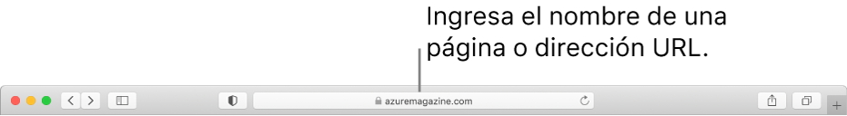 El campo de búsqueda inteligente de Safari, en donde puedes ingresar el nombre de una página o un URL.