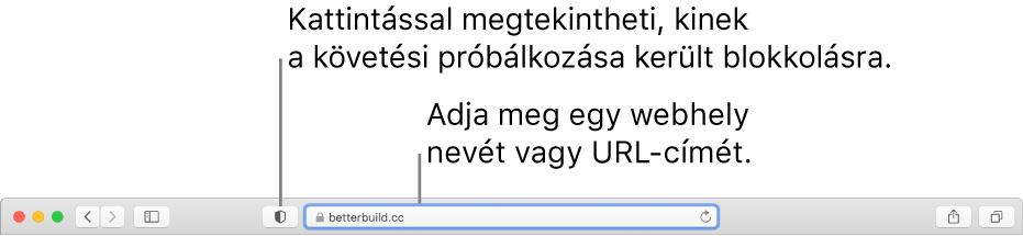 A Safari eszközsora az Adatvédelmi jelentés gombbal és egy webhellyel az intelligens keresési mezőben.