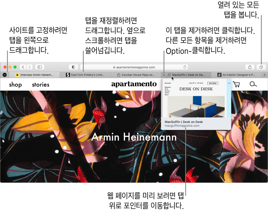여러 탭이 열려 있고 한 탭에 마우스 포인터가 올려져 웹 사이트 미리보기가 표시된 Safari 윈도우.