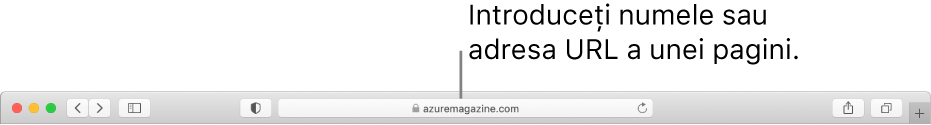Câmpul inteligent de căutare Safari, unde puteți introduce numele sau adresa URL a unei pagini.