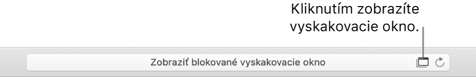 Pole Dynamického Vyhľadávania zobrazujúce ikonu napravo, aby povolila vyskakovacie okná.