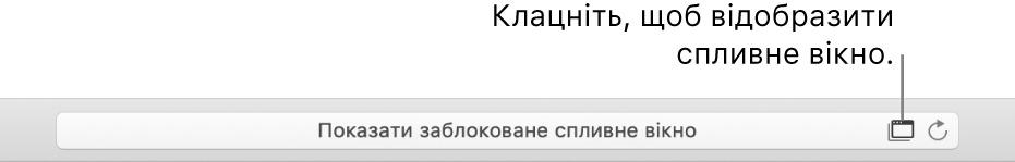 Поле розумного пошуку з іконкою для відображення спливних вікон праворуч.