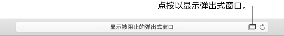 显示在右侧有允许弹出式窗口图标的智能搜索栏。