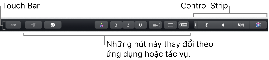Touch Bar dọc theo cạnh trên cùng của bàn phím, đang hiển thị Control Strip được thu gọn ở bên phải và các nút thay đổi theo ứng dụng hoặc tác vụ.