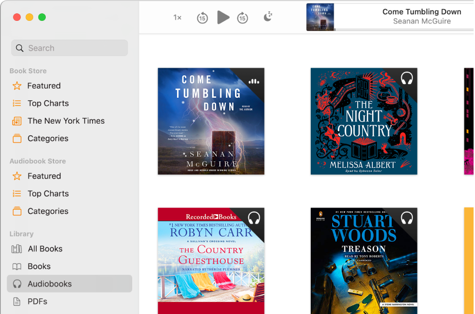 The audiobook player. Along the top are the player’s controls, a thumbnail of the audiobook’s cover and the audiobook’s title and author. Below is the Audiobooks collection in the library.