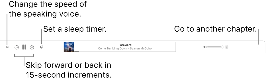 The audiobook player in Apple Books showing, from left to right, the Playback Speed button, the Skip Forward and Skip Back buttons, the Sleep Timer button, the title and author of the currently playing audiobook, the Volume slider, and the Table of Contents button.
