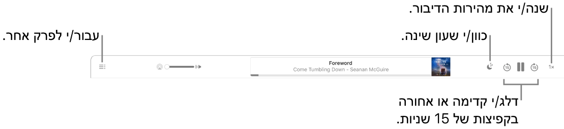 נגן ספרי השמע ב”ספרים” מציג, מימין לשמאל, את הכפתור “מהירות הפעלה”, את הכפתורים “דלג קדימה” ו“דלג אחורה”, את הכפתור “שעון שינה”, את השם והמחבר של ספר השמע המושמע כעת, את מחוון עוצמת הקול ואת הכפתור ״תוכן העניינים״.