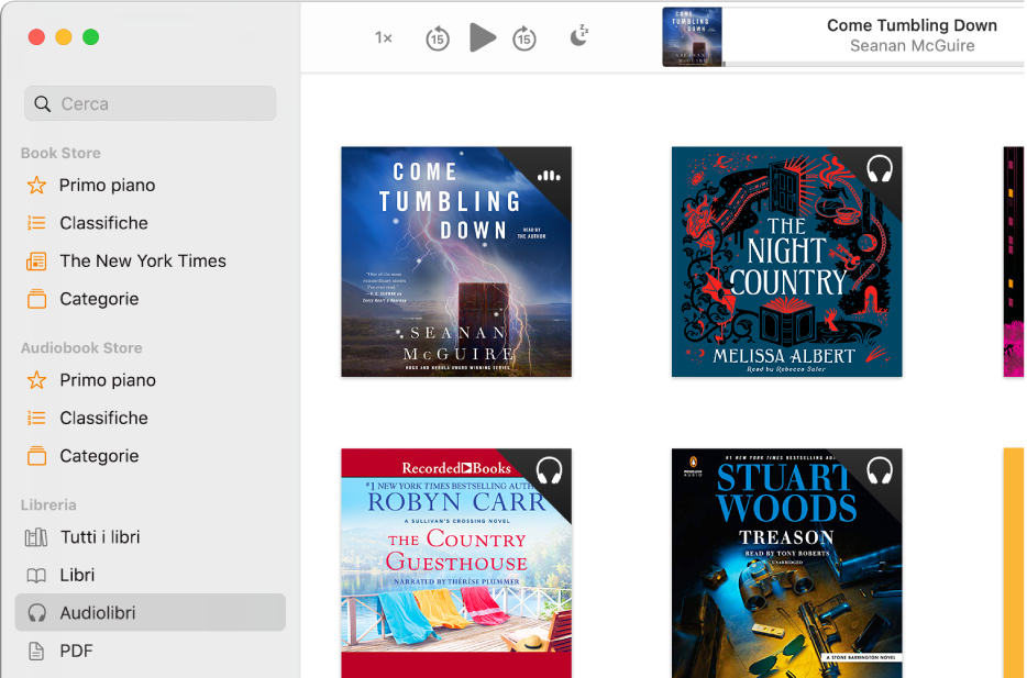 Il riproduttore di audiolibri. Nella parte superiore sono disponibili i controlli di riproduzione, una miniatura della copertina dell'audiolibro e il titolo e l'autore dell'audiolibro. Al di sotto, è visualizzata la collezione Audiolibri nella libreria.