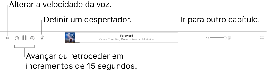 O leitor de audiolivros na aplicação Livros a mostrar, da esquerda para a direita, o botão “Velocidade de reprodução”, os botões “Avançar” e “Retroceder”, o botão “Temporizador”, o título e o autor do audiolivro que está a ser reproduzido, o nivelador “Volume” e o botão “Índice”.