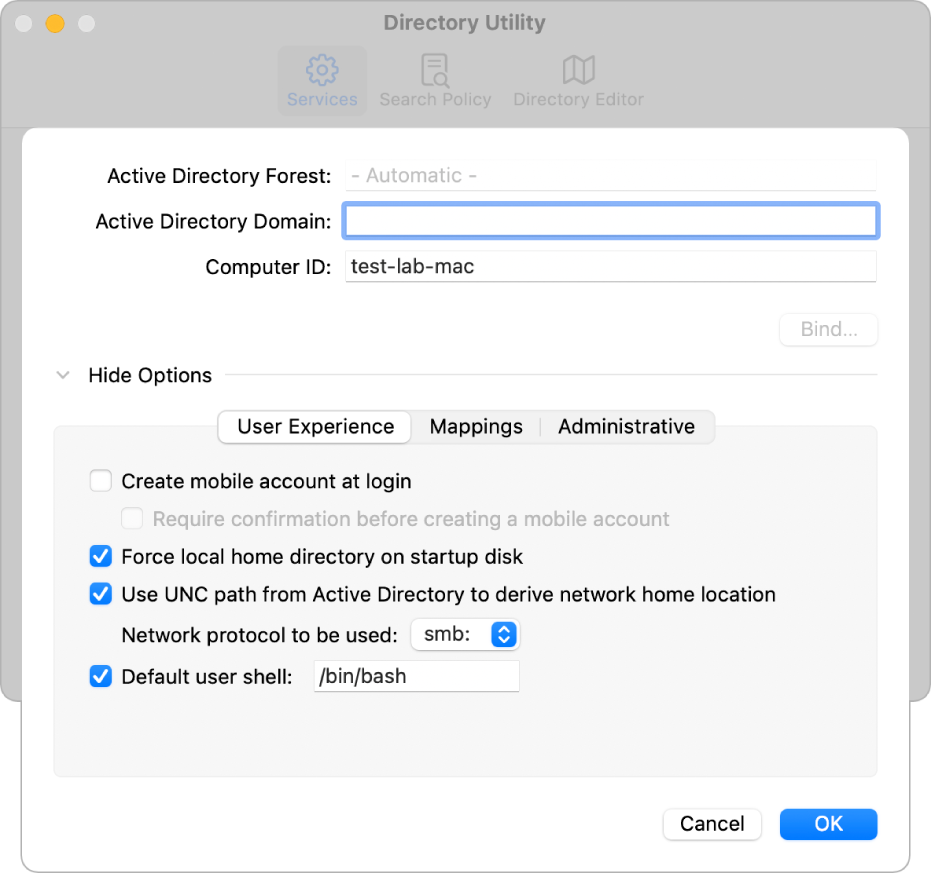The Active Directory configuration dialog with the options section expanded.