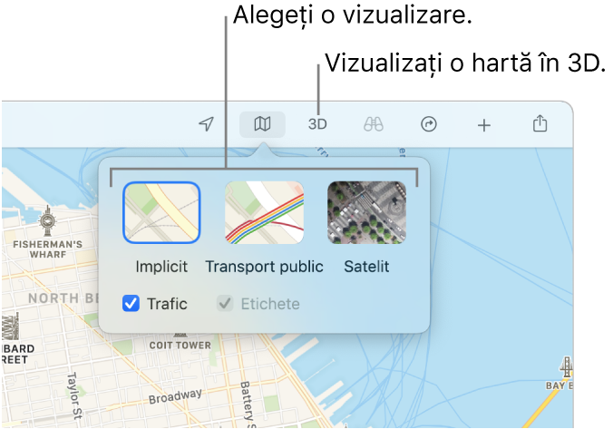 O hartă a orașului San Francisco afișând opțiuni de vizualizare pentru hartă: Implicit, Transport, Satelit și 3D.