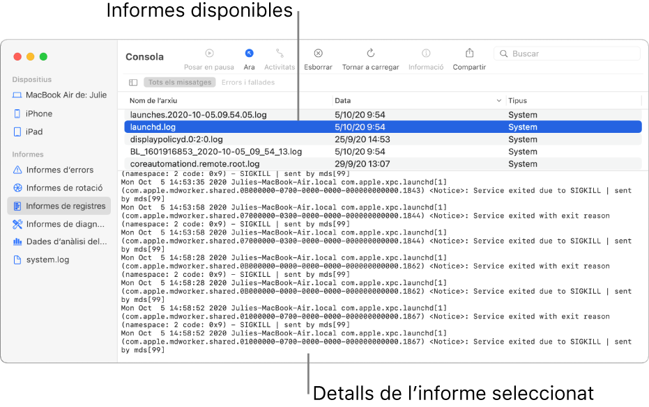 Finestra de la Consola que mostra les categories d’informes a la barra lateral, els informes a la part superior i a la dreta de la barra lateral, i els detalls dels informes a sota.
