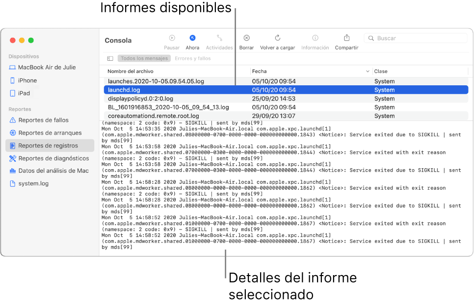 Ventana de Consola mostrando categorías de reportes en la barra lateral, reportes en la parte superior y a la derecha de la barra lateral, y detalles de reportes en la parte inferior.