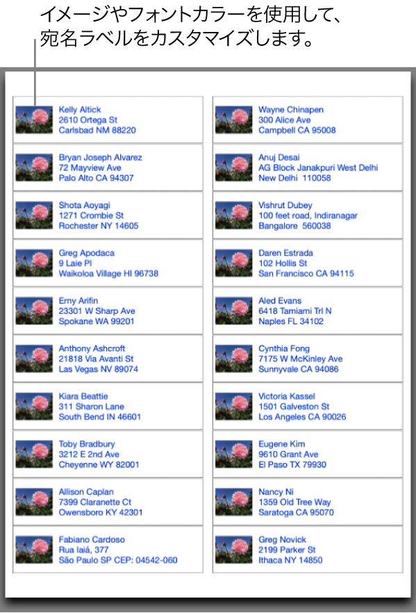 宛名ラベルのプレビュー。イメージとフォントの色でカスタマイズされており、このままプリントできます。