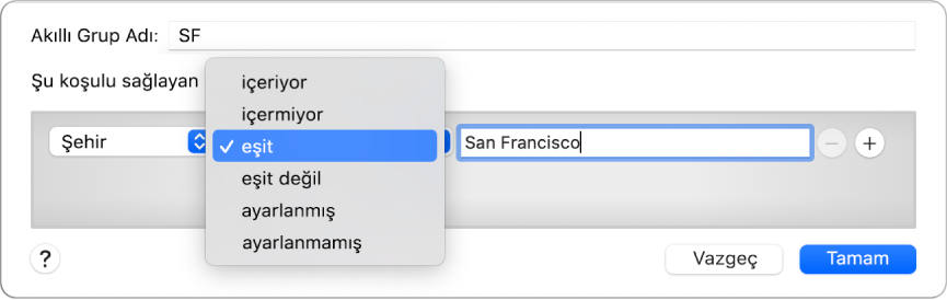 SF adlı bir grubu ve üç ölçütlü bir koşulu gösteren Akıllı Grup penceresi: İlk alanda Şehir, ikinci alanda açılır menüden adı seçilir, üçüncü alanda San Francisco.